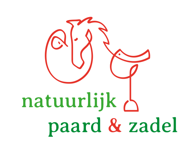 Natuurlijk paard en zadel